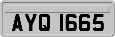AYQ1665