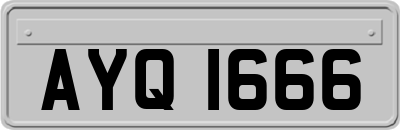 AYQ1666