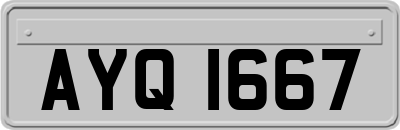 AYQ1667