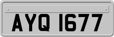 AYQ1677