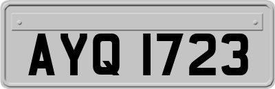 AYQ1723