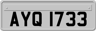 AYQ1733