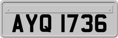 AYQ1736