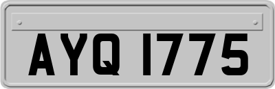 AYQ1775