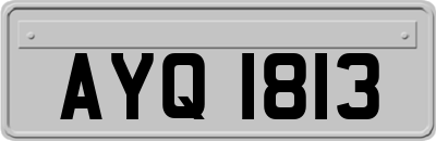 AYQ1813