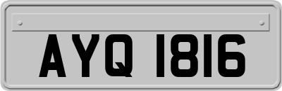 AYQ1816