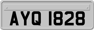 AYQ1828