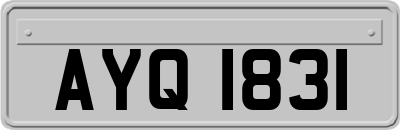 AYQ1831