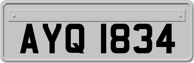 AYQ1834