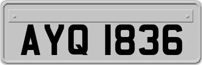 AYQ1836