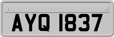 AYQ1837