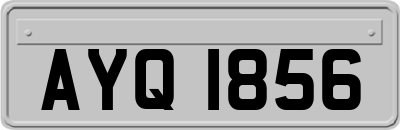 AYQ1856