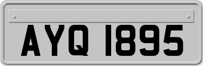 AYQ1895