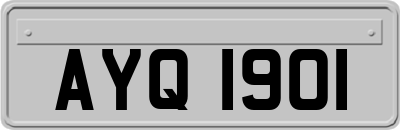 AYQ1901
