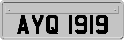 AYQ1919