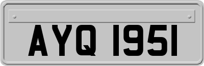 AYQ1951