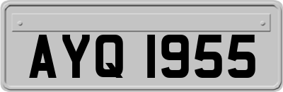 AYQ1955