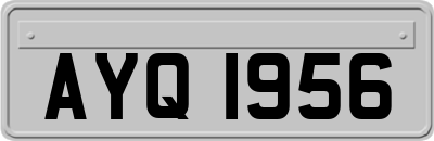 AYQ1956