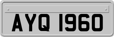 AYQ1960