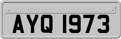 AYQ1973