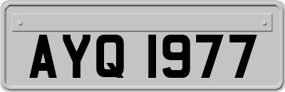 AYQ1977