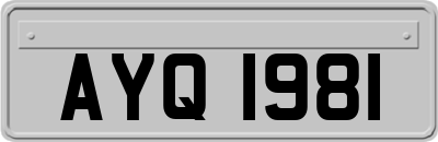 AYQ1981