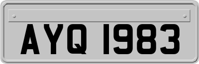 AYQ1983