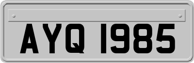 AYQ1985