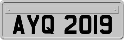 AYQ2019