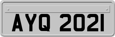 AYQ2021