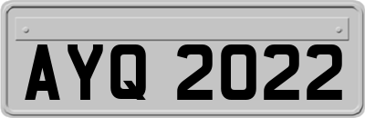 AYQ2022