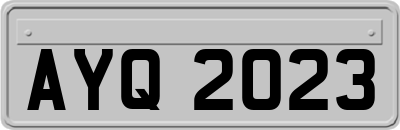 AYQ2023