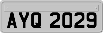 AYQ2029