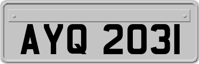 AYQ2031