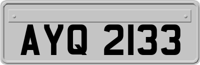 AYQ2133