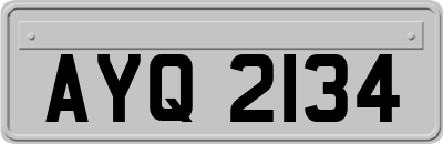 AYQ2134