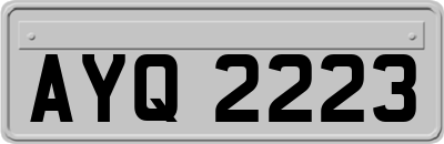 AYQ2223