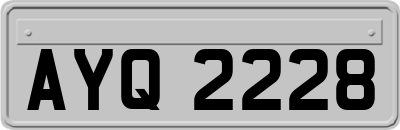 AYQ2228