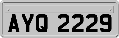 AYQ2229