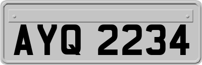 AYQ2234