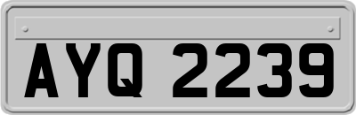AYQ2239