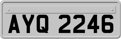AYQ2246