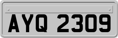 AYQ2309