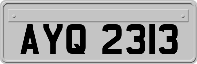 AYQ2313