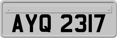 AYQ2317