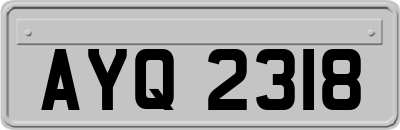 AYQ2318