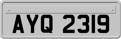 AYQ2319