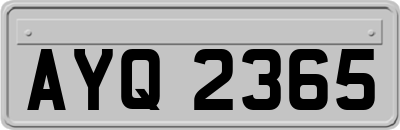 AYQ2365