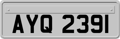 AYQ2391