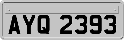 AYQ2393